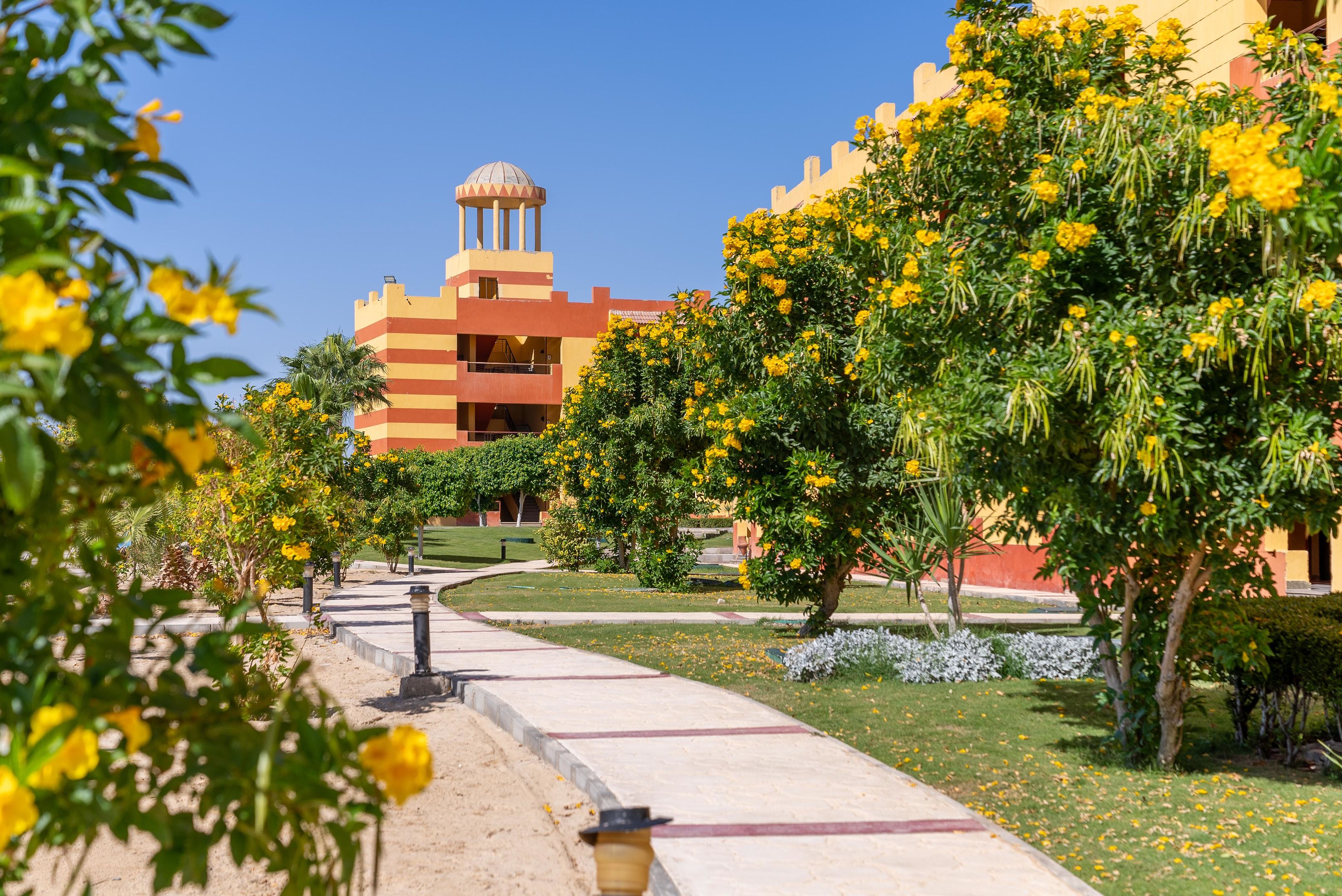 Malikia Resort Abu Dabbab foto 201