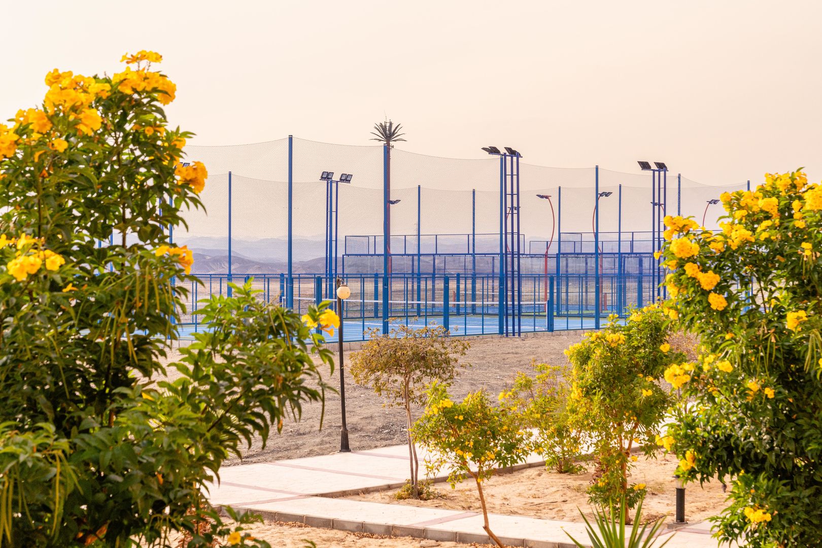 Malikia Resort Abu Dabbab foto 324
