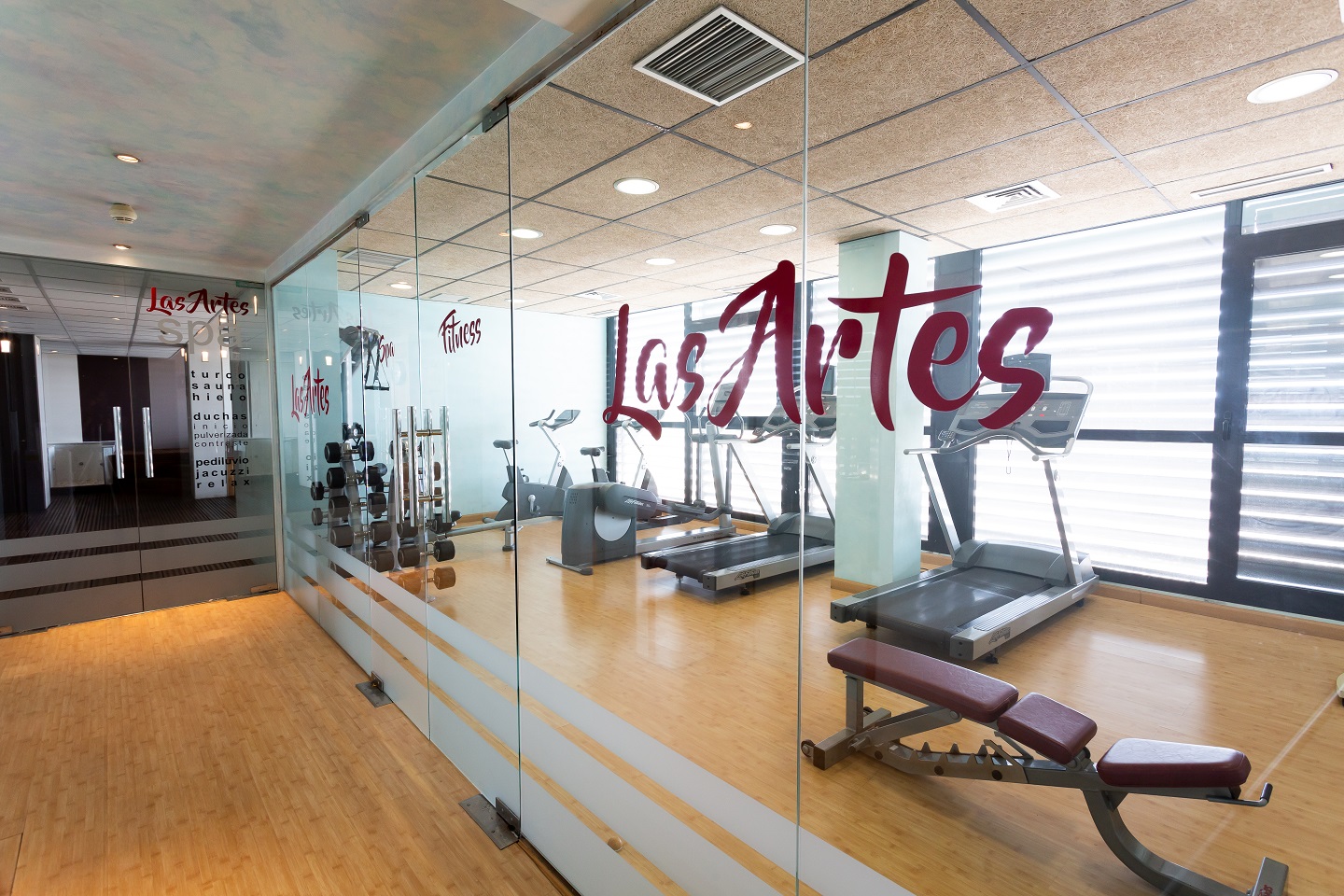 Las Artes foto 15