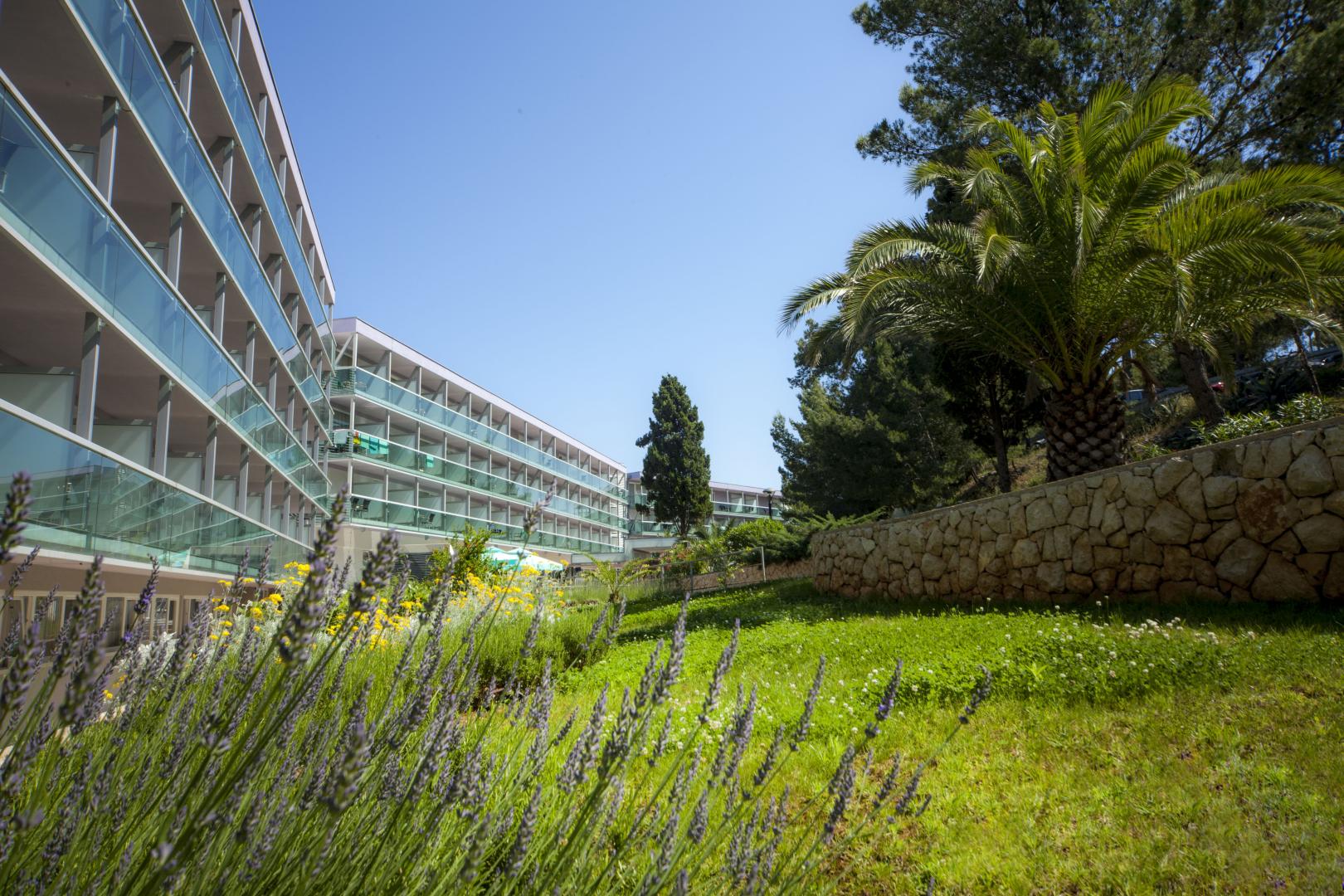 Hotel Aurora foto 17