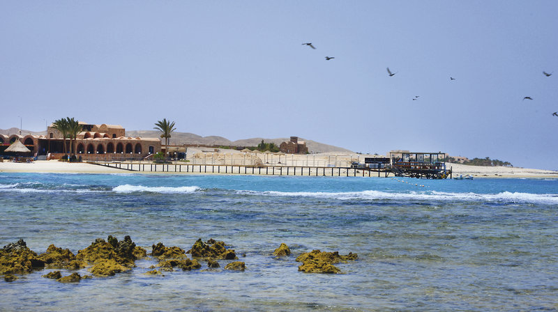 Mövenpick Resort El Quseir foto 62