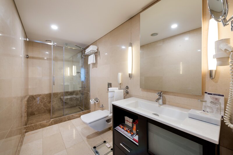Ramada Plaza by Wyndham Istanbul City Center foto 52