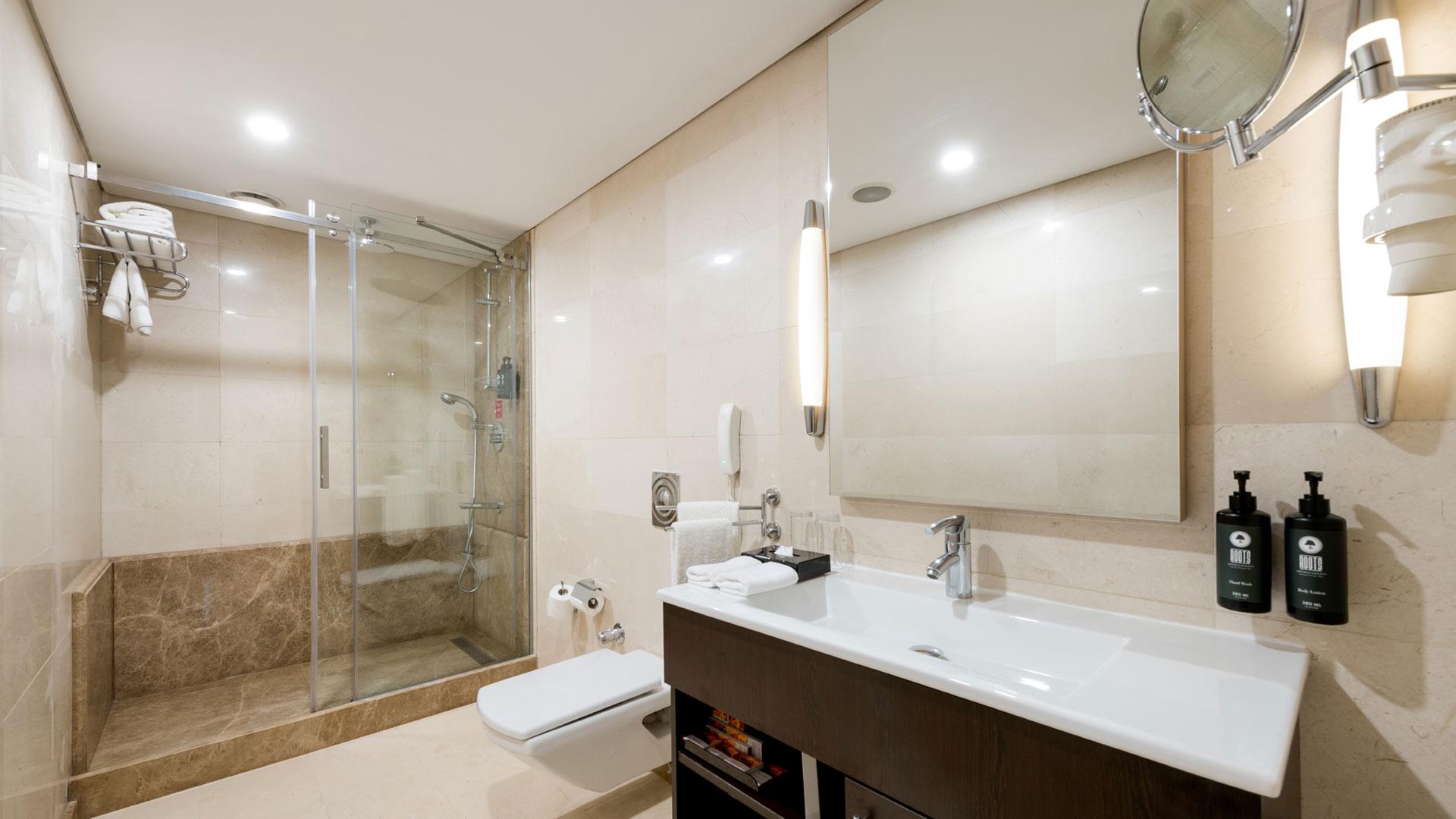 Ramada Plaza by Wyndham Istanbul City Center foto 126