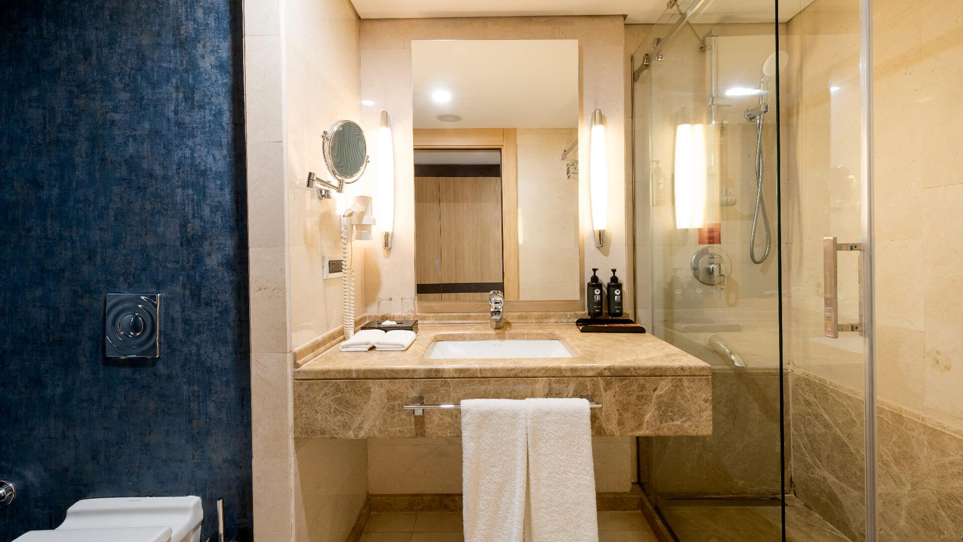 Ramada Plaza by Wyndham Istanbul City Center foto 142
