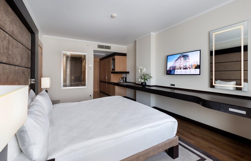 Ramada Plaza by Wyndham Istanbul City Center foto 58