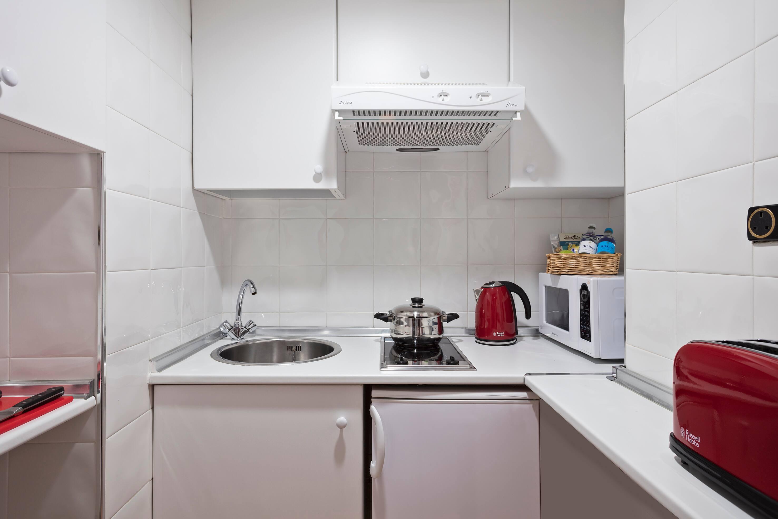 Meliá White House Apartments foto 63
