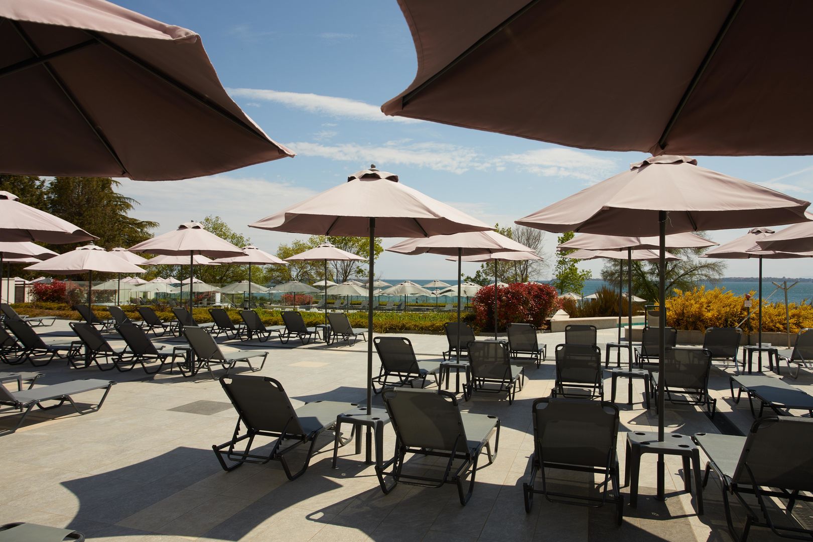 Secrets Sunny Beach Resort & Spa foto 53