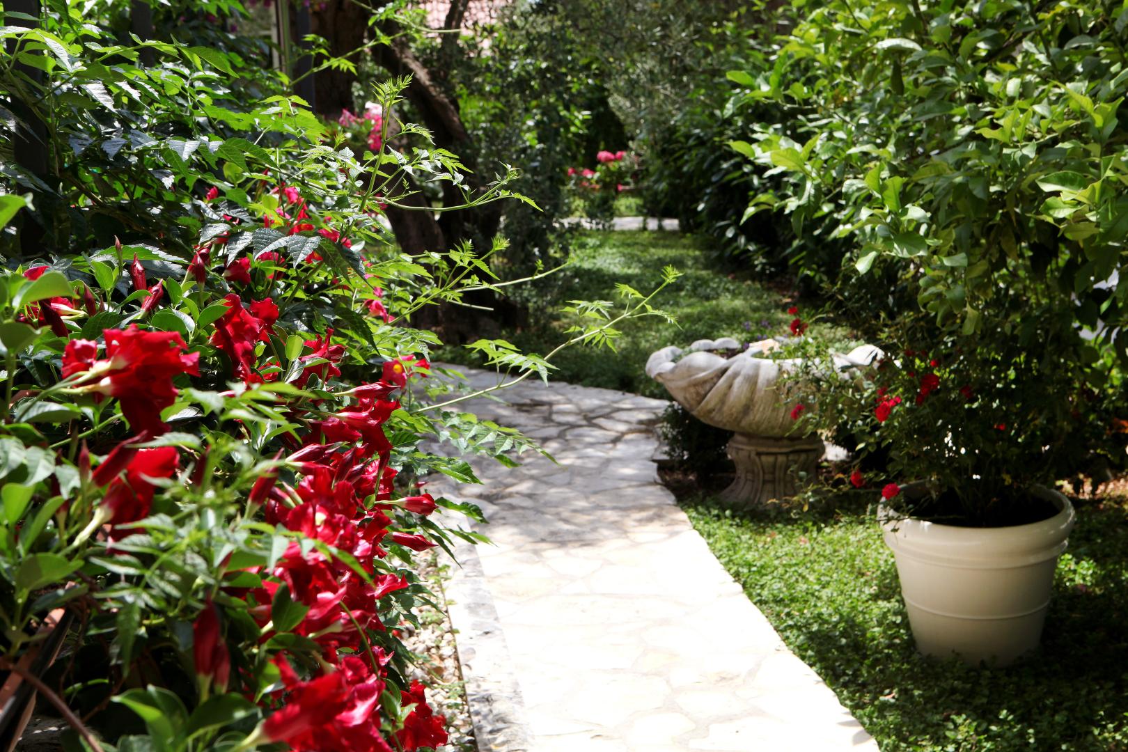Villa Rustica Dalmatia foto 14