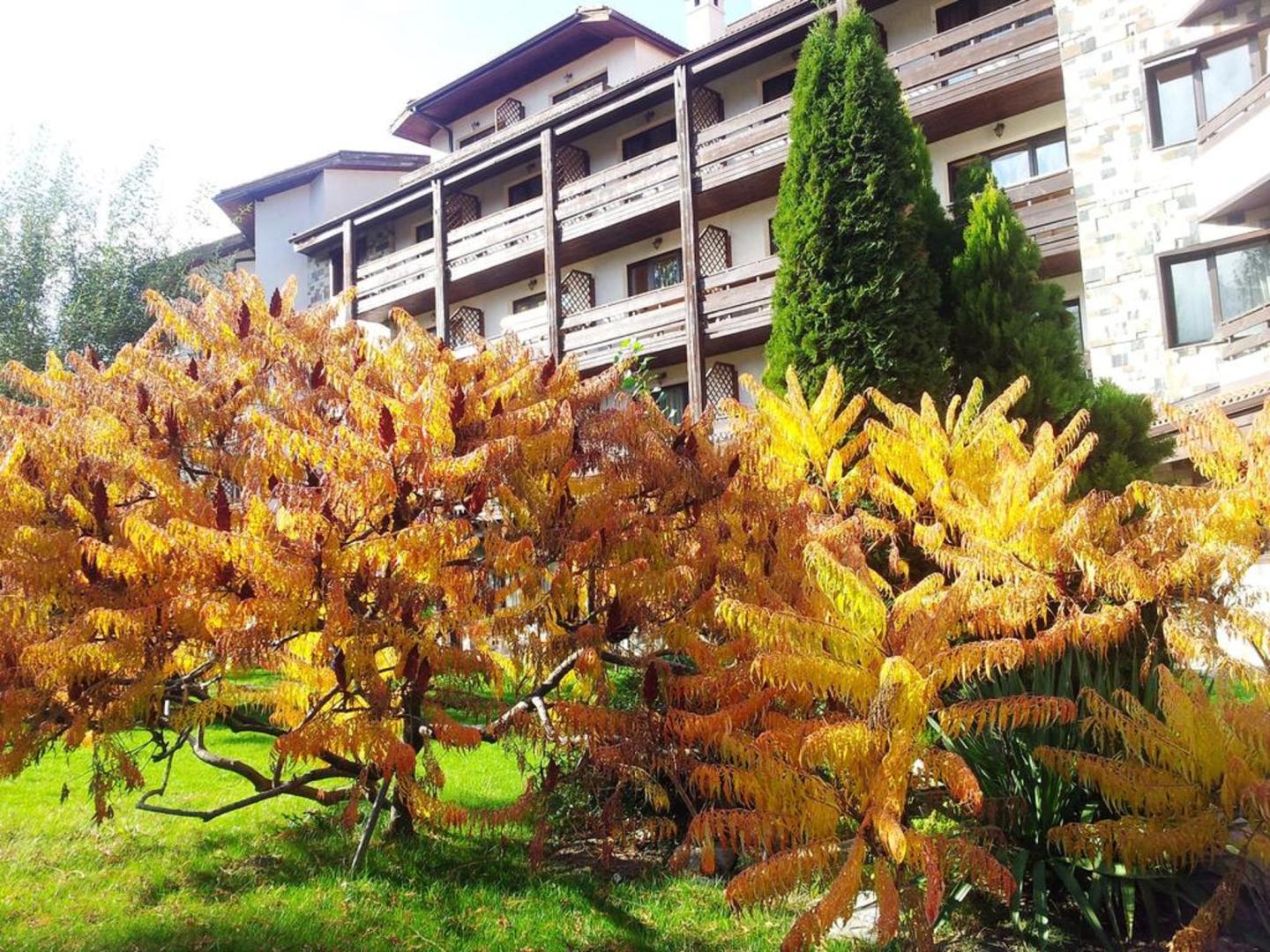 Orphey Hotel foto 9