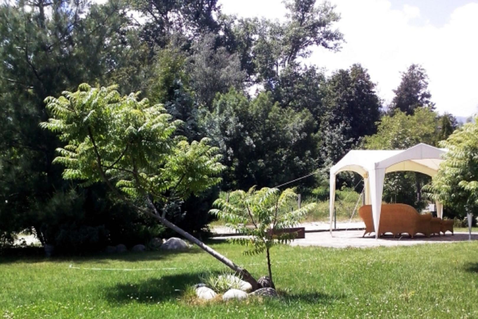 Orphey Hotel foto 11