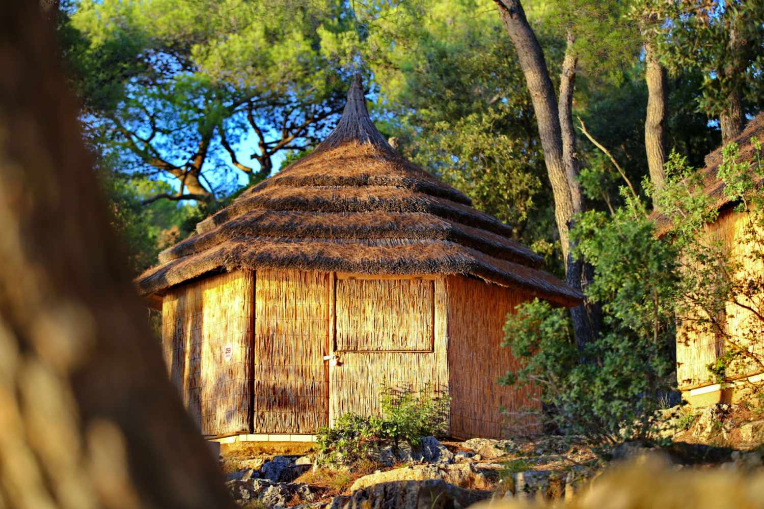 Pine Beach Pakostane foto 2