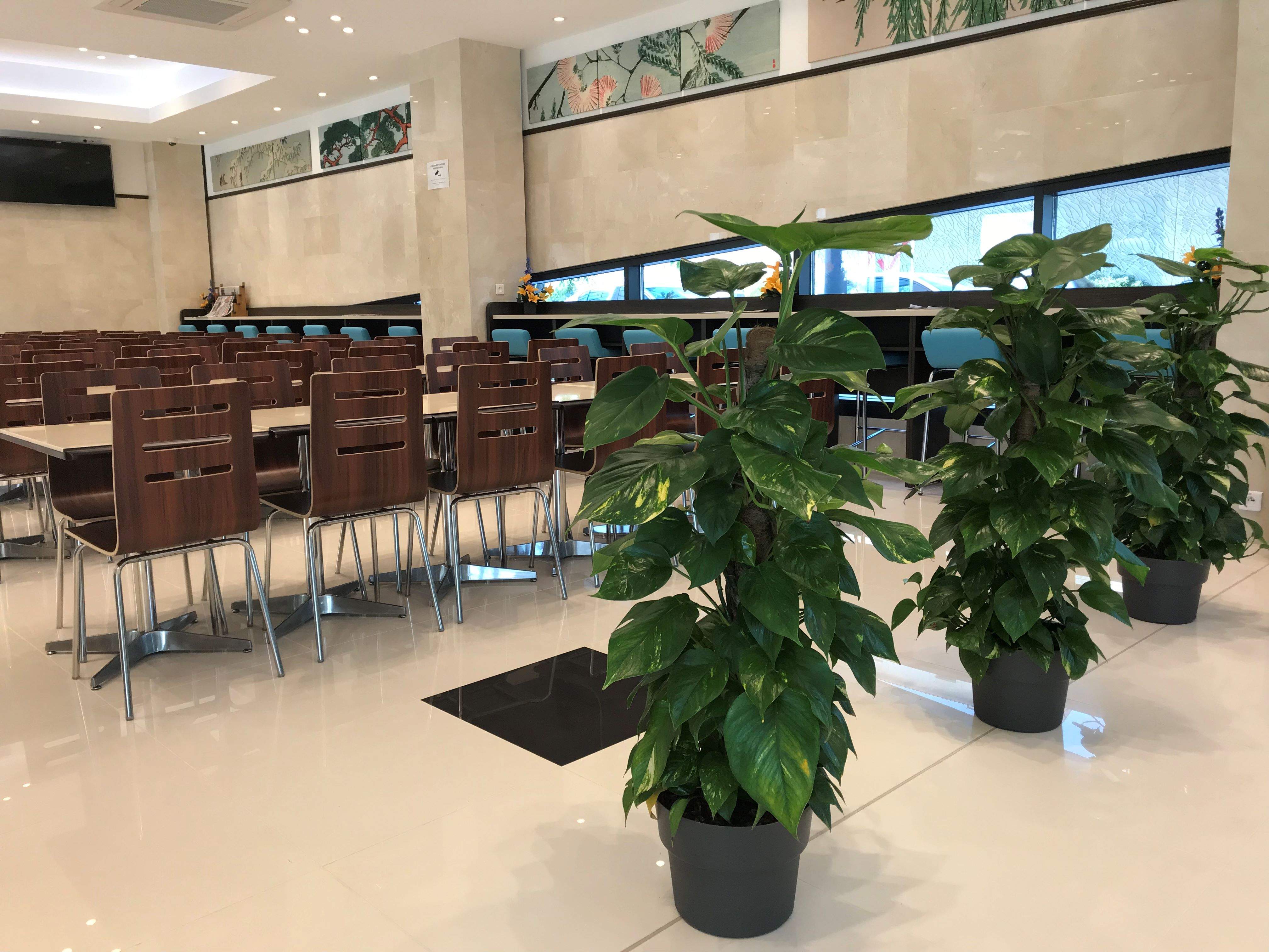 Toyoko Inn Marseille Saint Charles foto 29