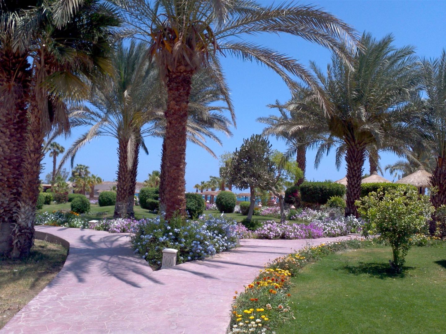 Lotus Bay foto 33