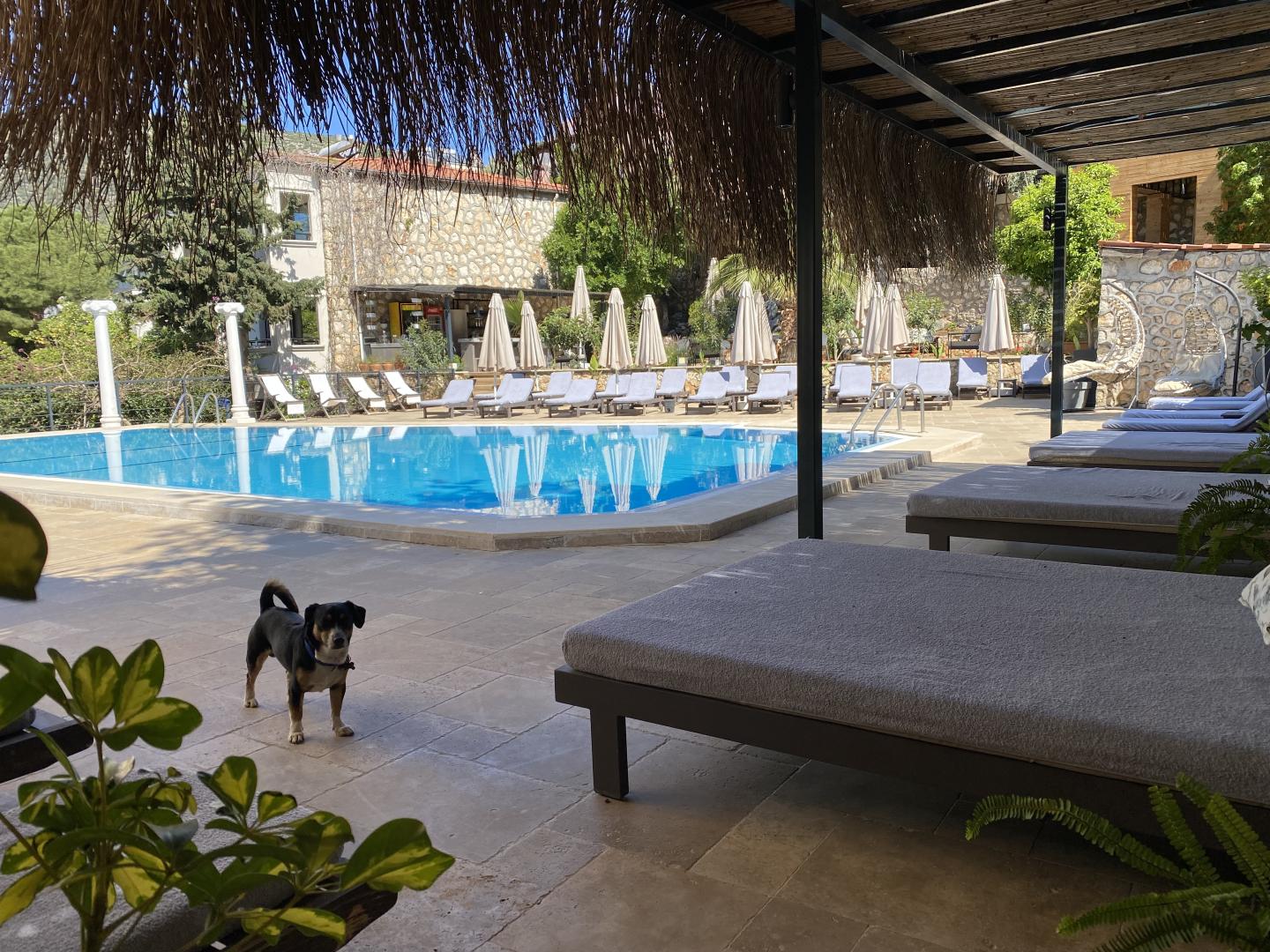 True Blue Boutique Hotel Kalkan foto 26