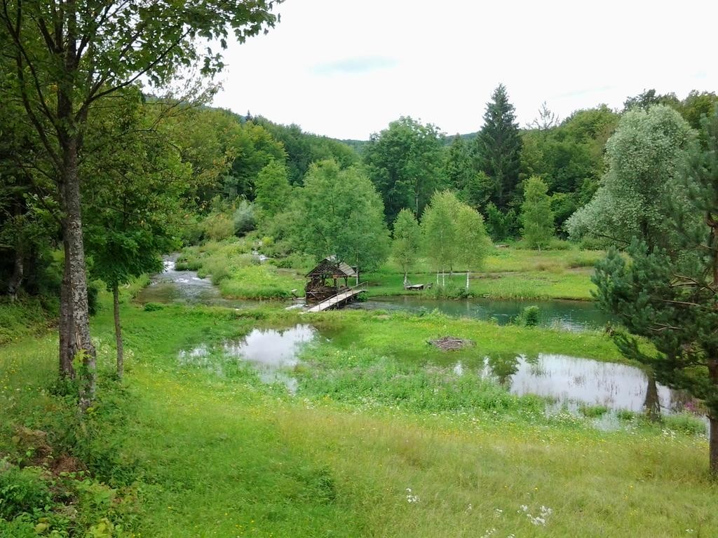 Villa Lykos foto 19
