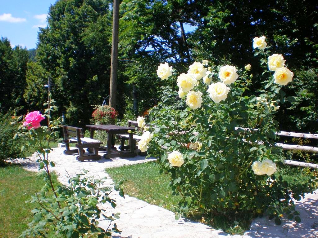 Villa Lykos foto 23