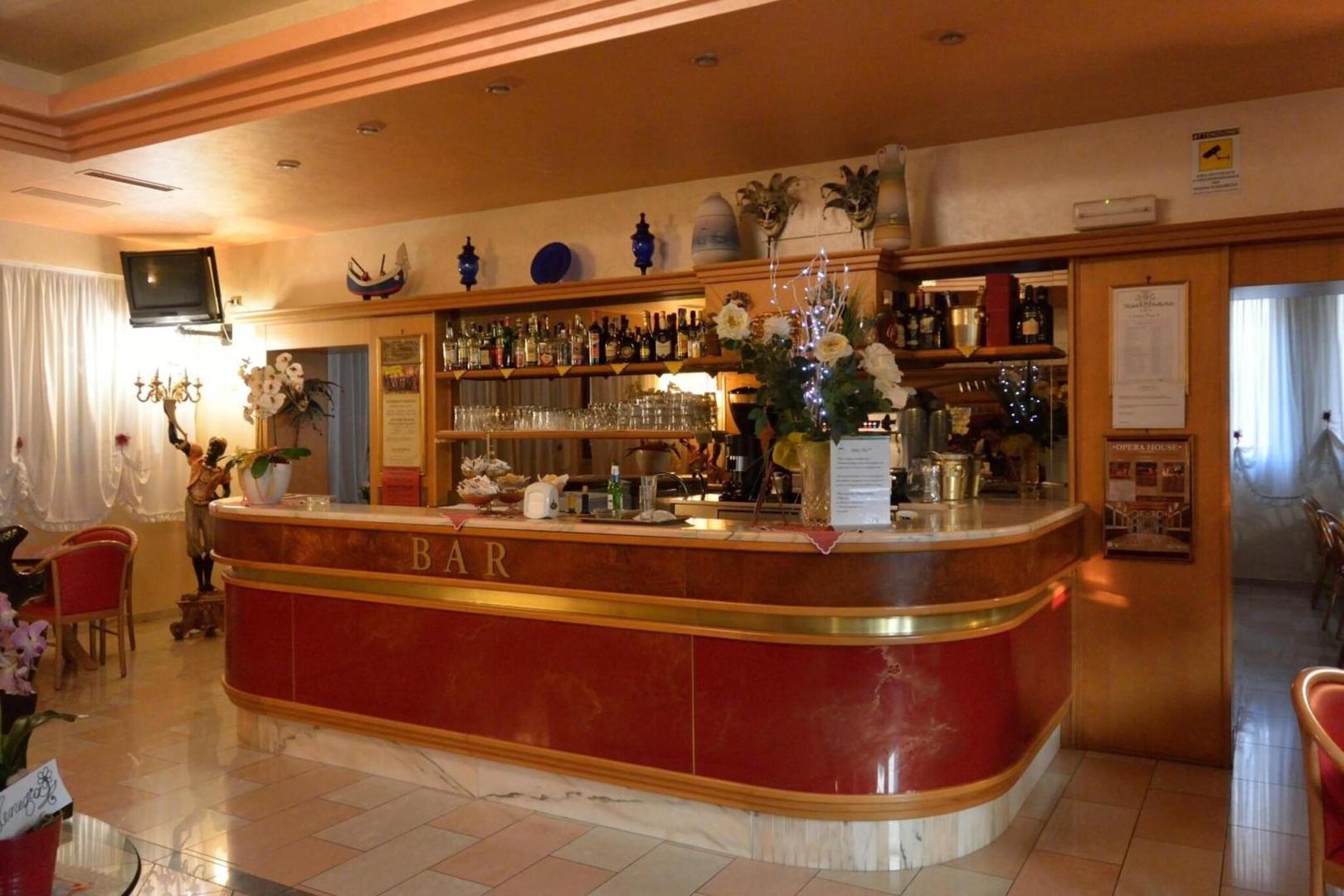 Hotel Belle Arti Venice foto 3