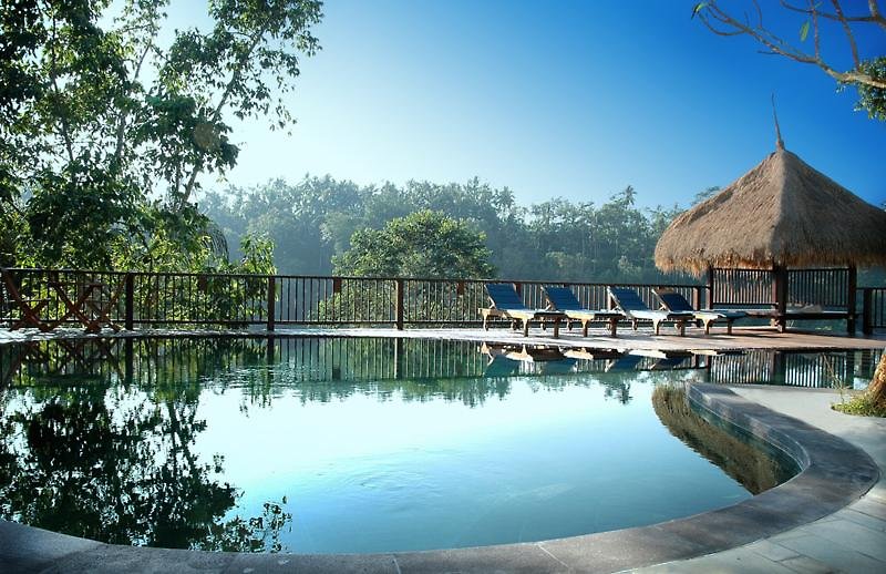 Nandini Jungle by Hanging Gardens foto 4