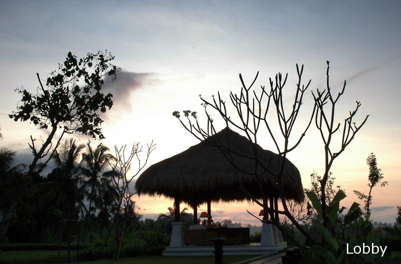 Nandini Jungle by Hanging Gardens foto 2