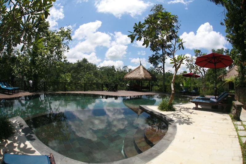 Nandini Jungle by Hanging Gardens foto 3