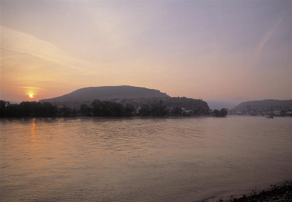 Bellevue Rheinhotel foto 18
