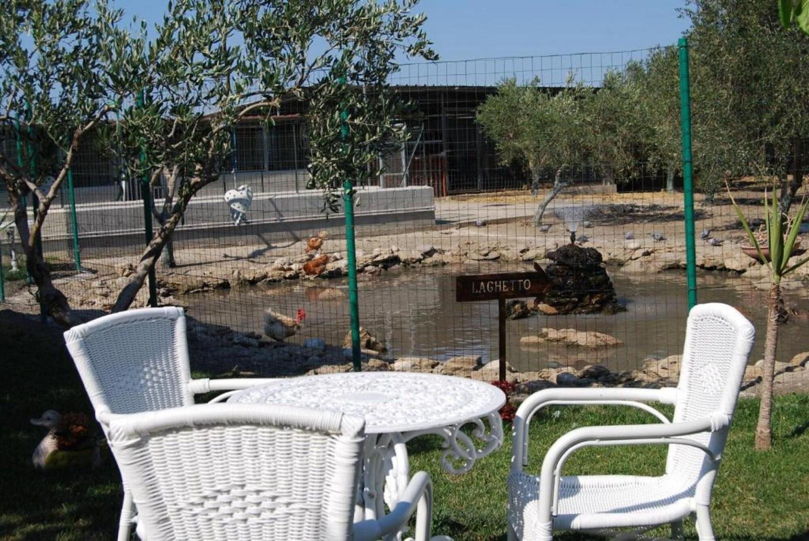 Tenuta Madre Terra foto 6