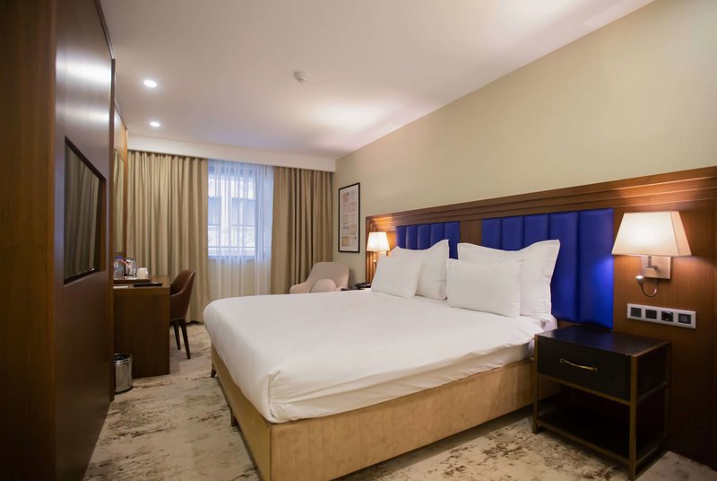 Ramada Plaza by Wyndham Istanbul Sultanahmet foto 121