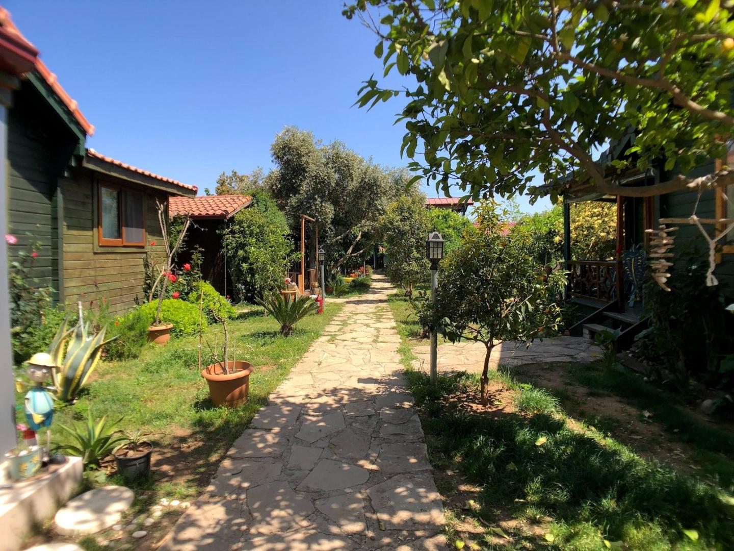 Turkuaz Bungalows foto 18