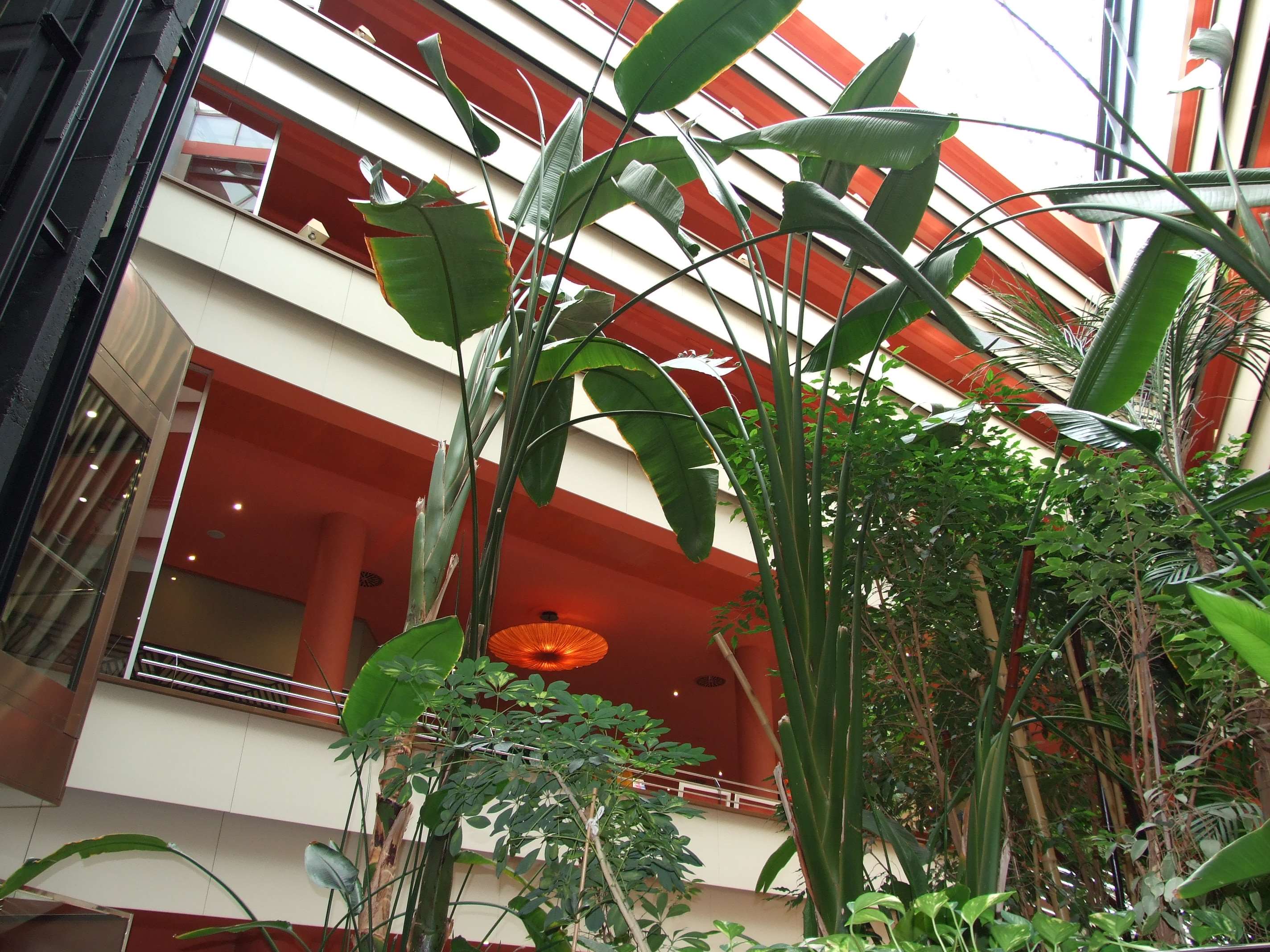 Ribera de Triana image 2