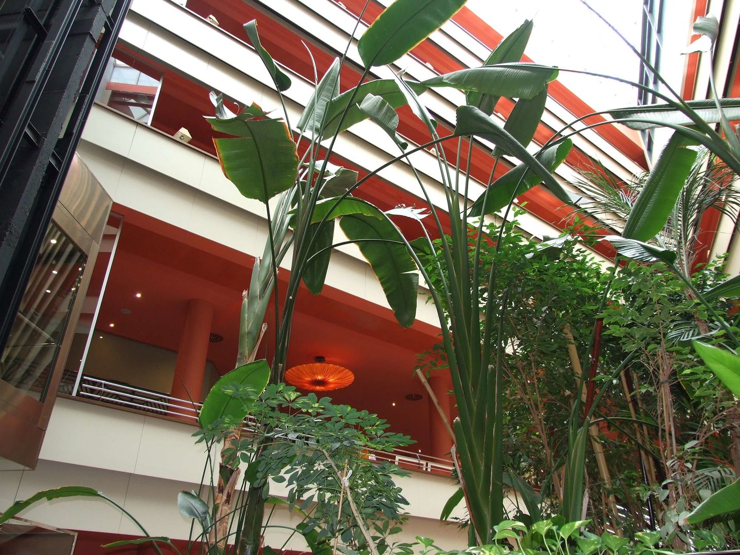 Ribera de Triana image 1