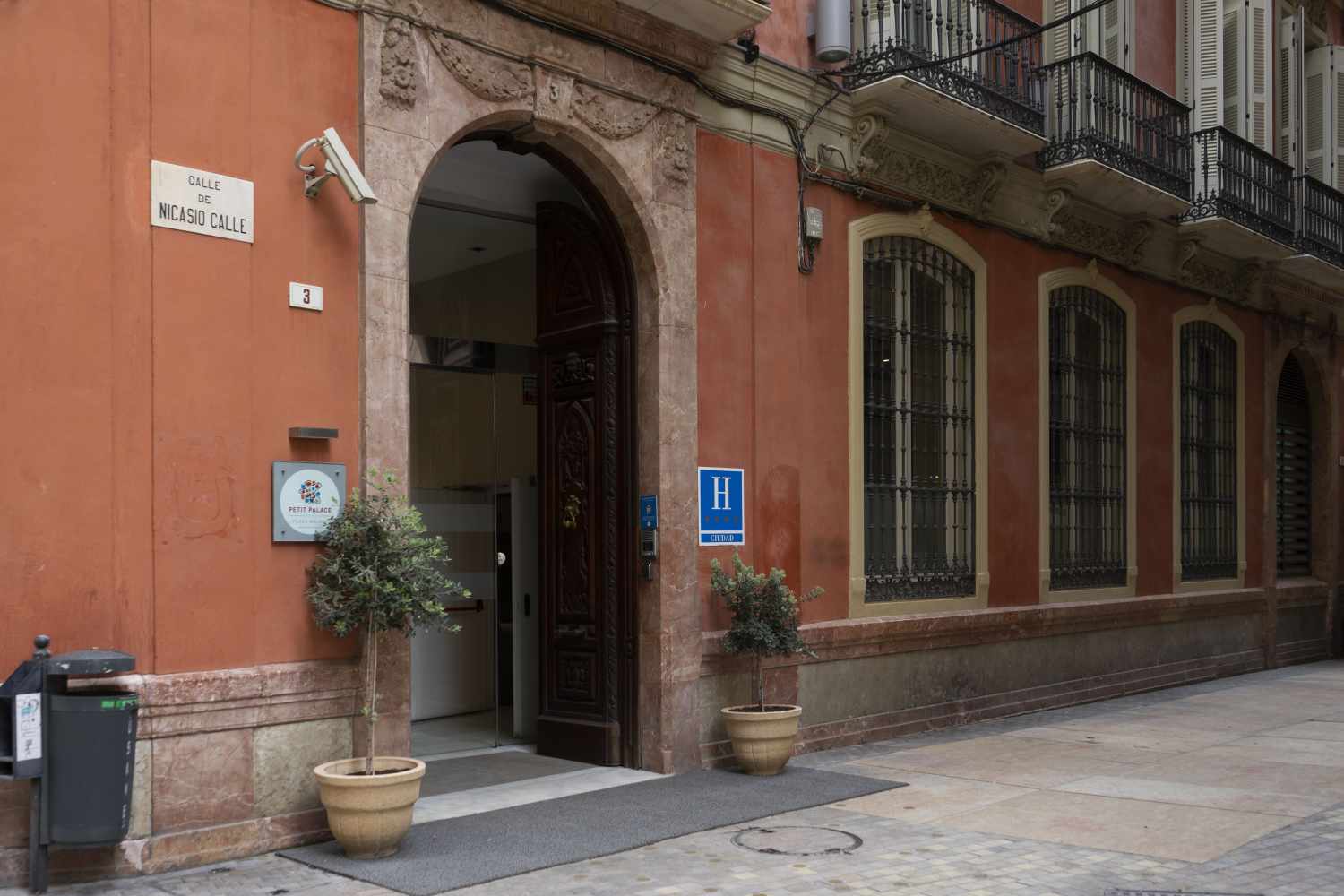 Petit Palace Málaga foto 10