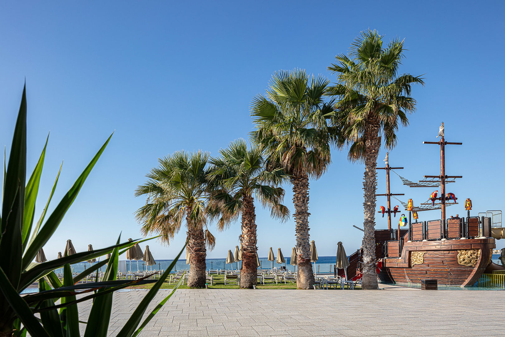 Petra Mare Hotel foto 19