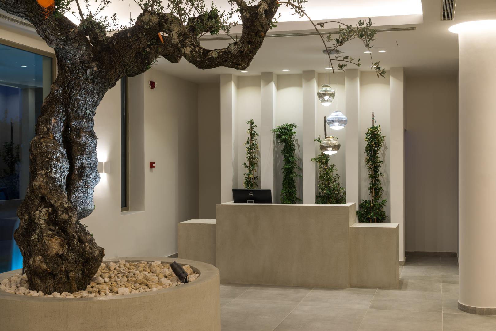 Tsamis Zante Suites foto 25