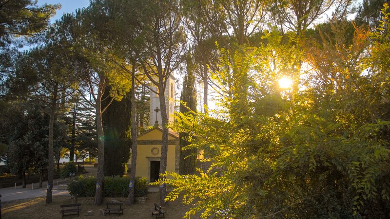 Pian dei Mucini Resort foto 301