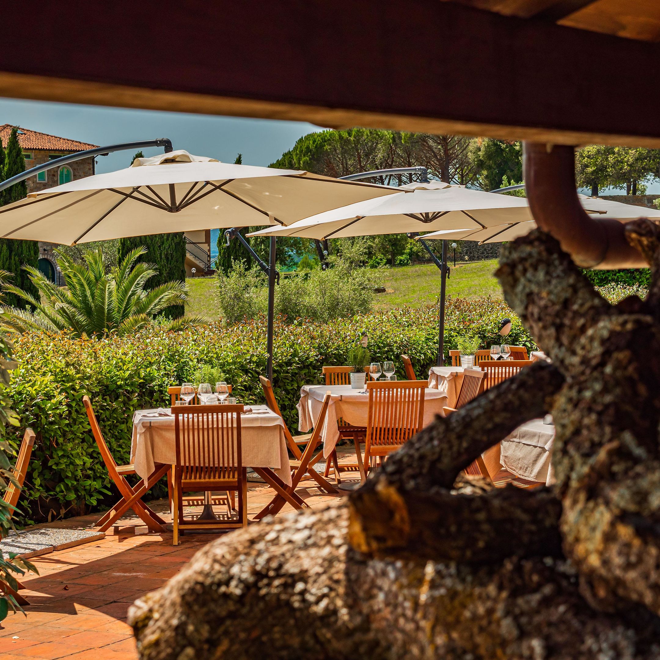 Pian dei Mucini Resort foto 405