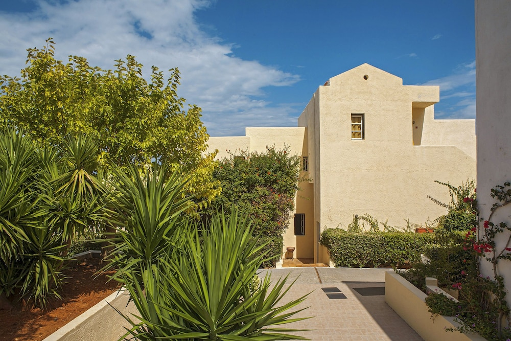 Tropische tuin met palmbomen — Sundance Apartments & Suites