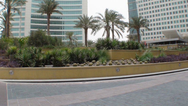 Crowne Plaza Dubai - Festival City image 3