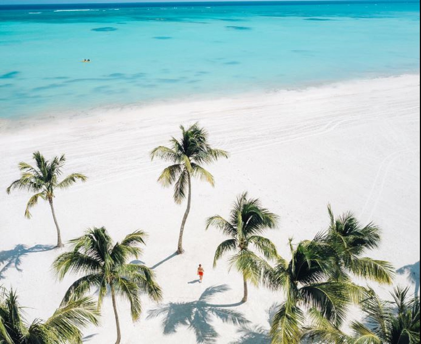 Hyatt Ziva Cap Cana foto 39