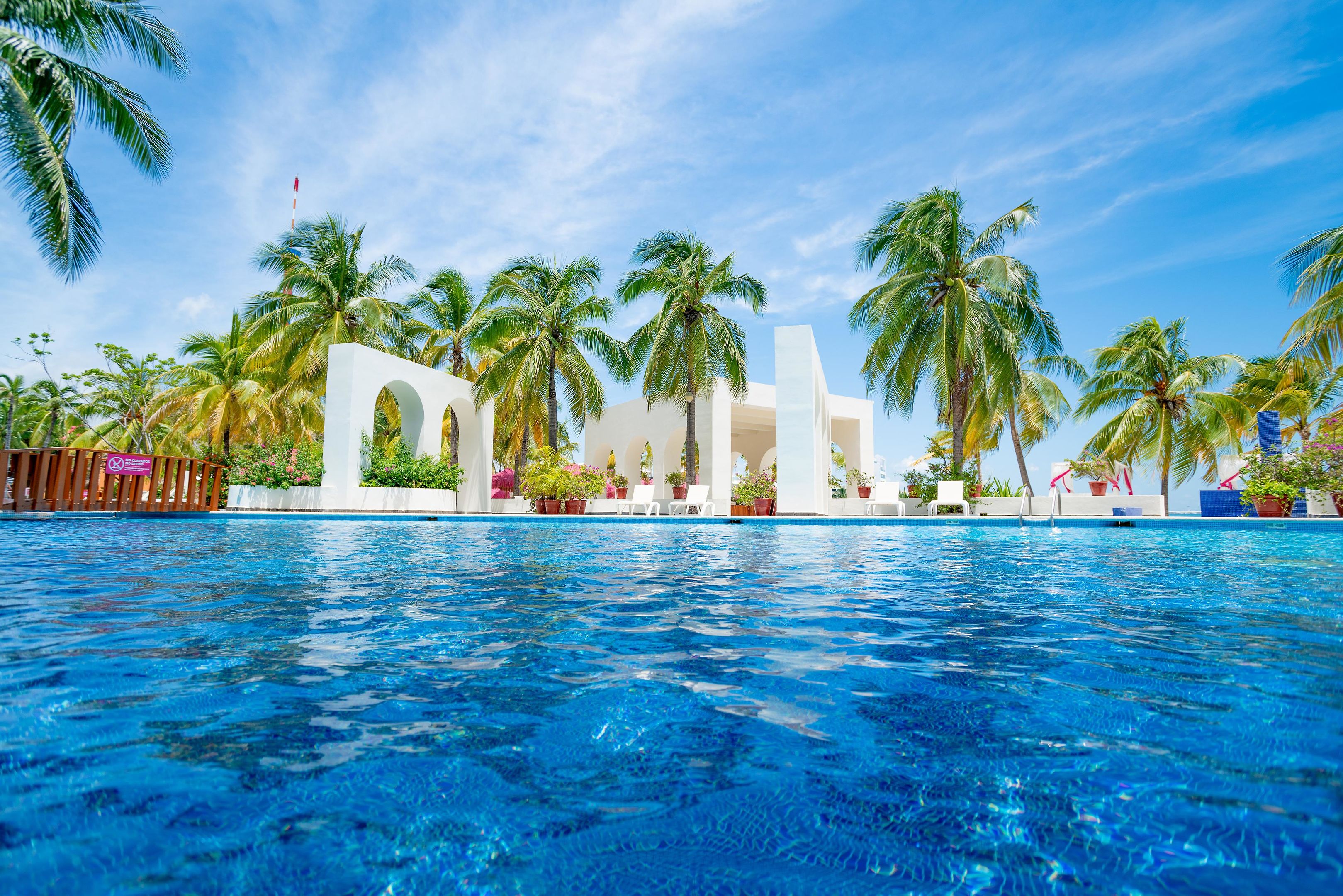 Grand Oasis Palm foto 18