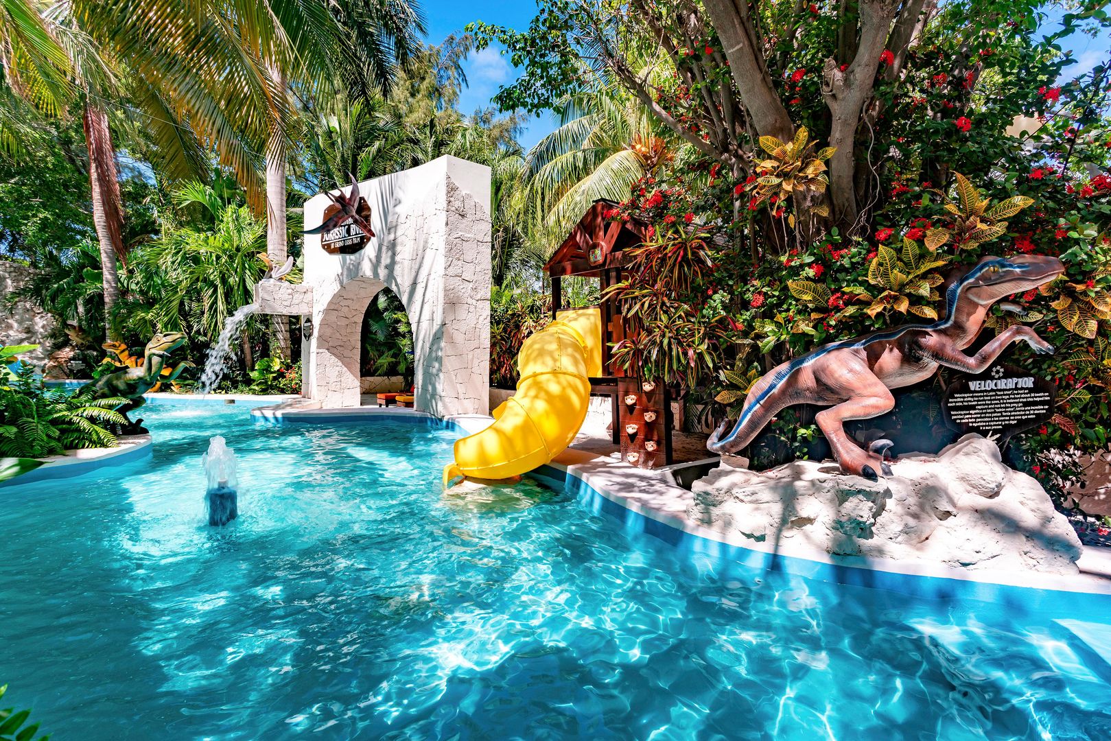 Grand Oasis Palm foto 32