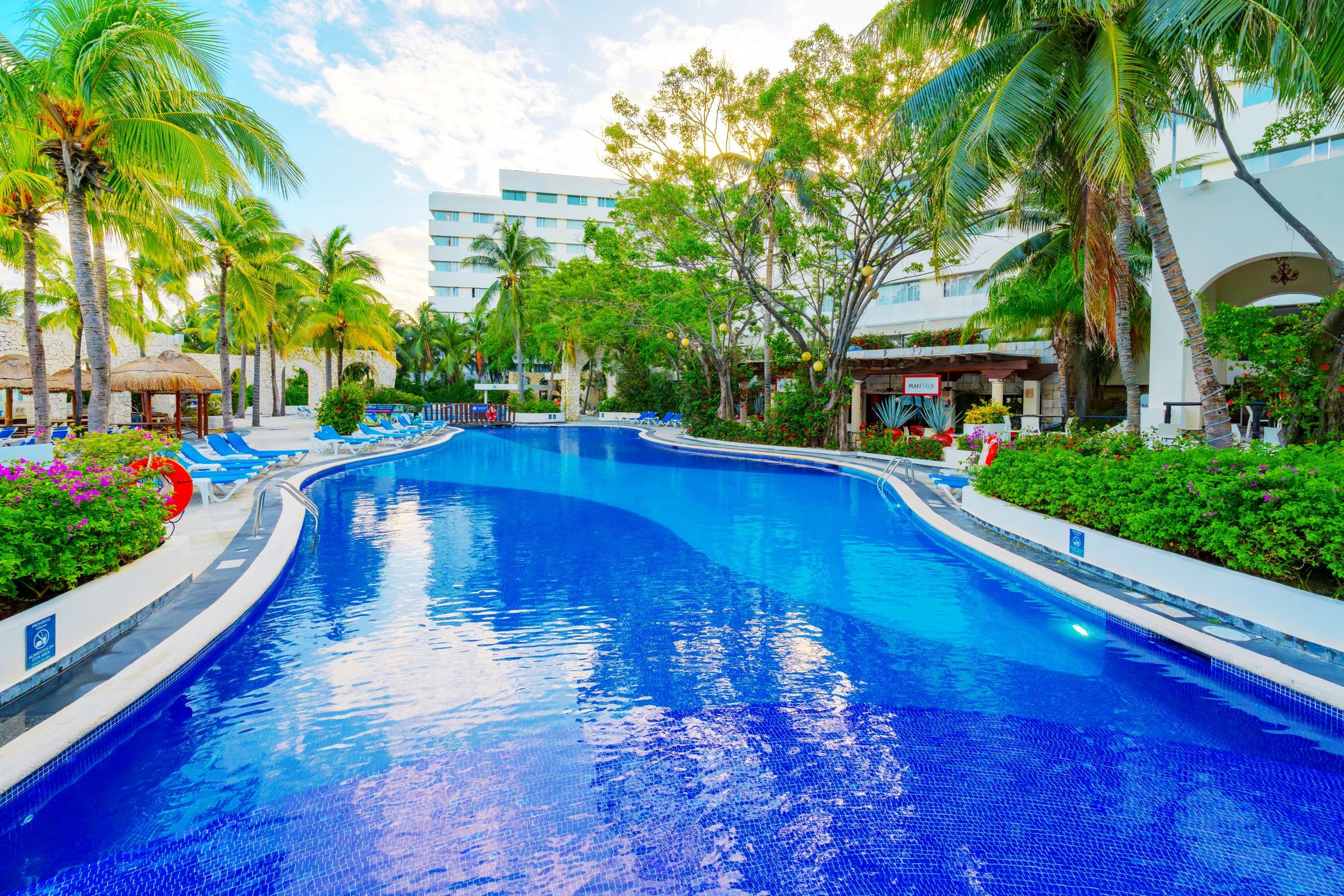 Grand Oasis Palm foto 198