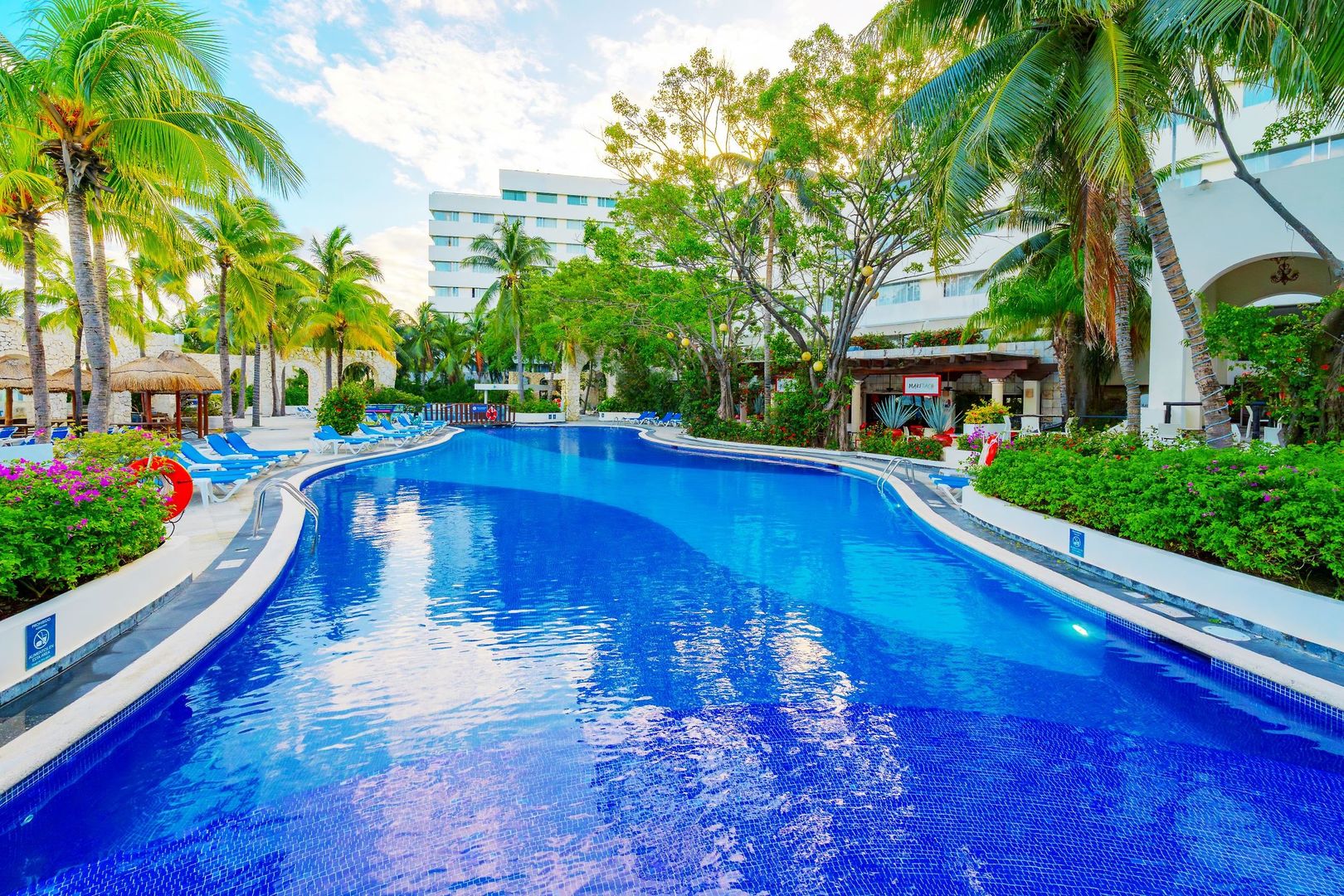 Grand Oasis Palm foto 197