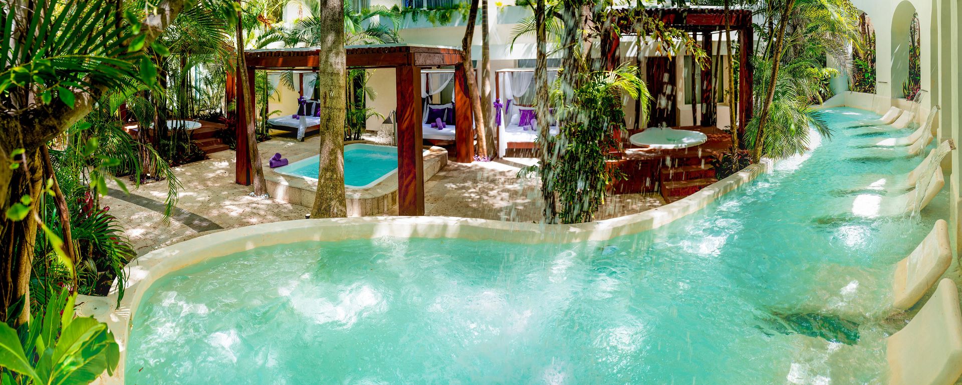 Grand Oasis Palm foto 38