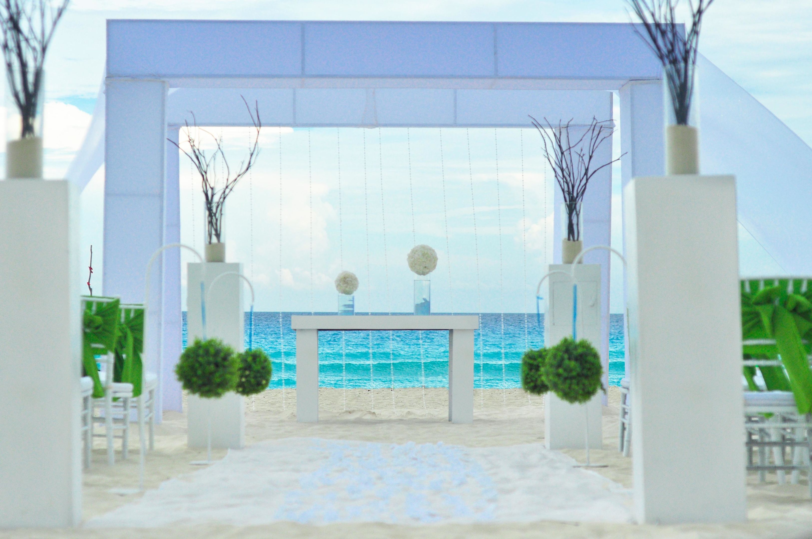 Grand Oasis Palm foto 84