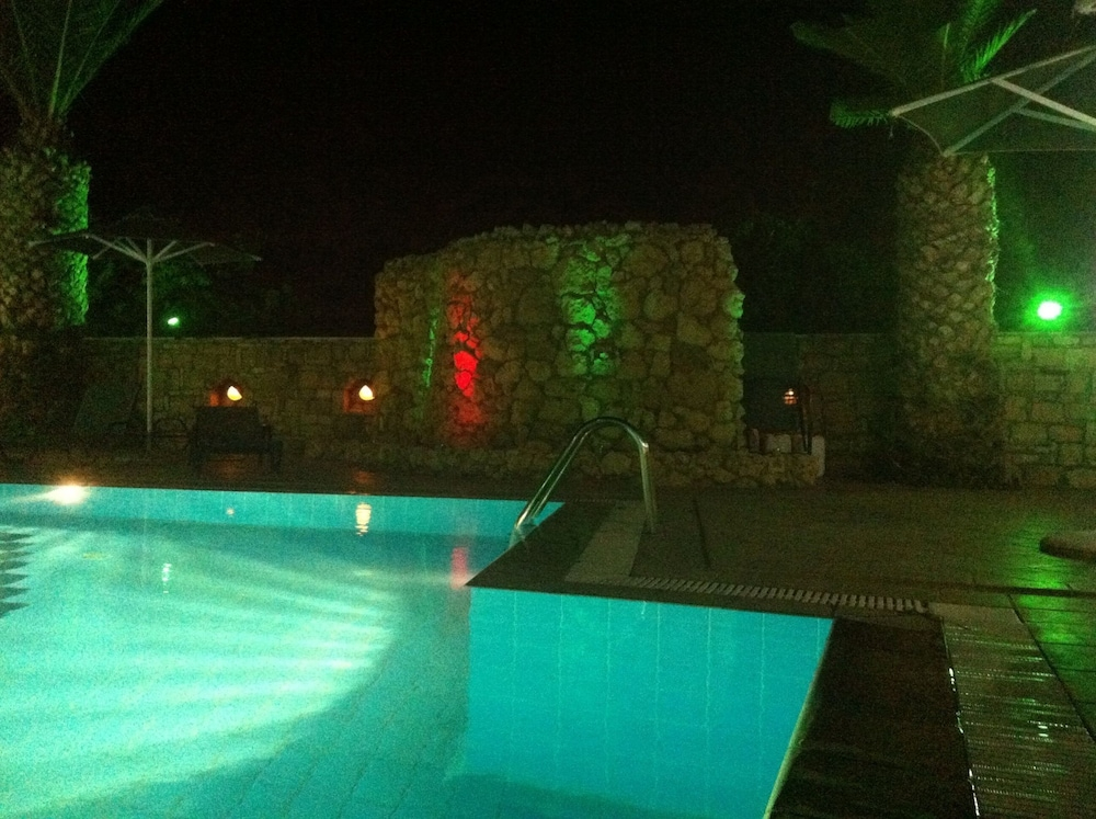 Zwembad omringd door palmbomen — Dimitris Resort Hotel