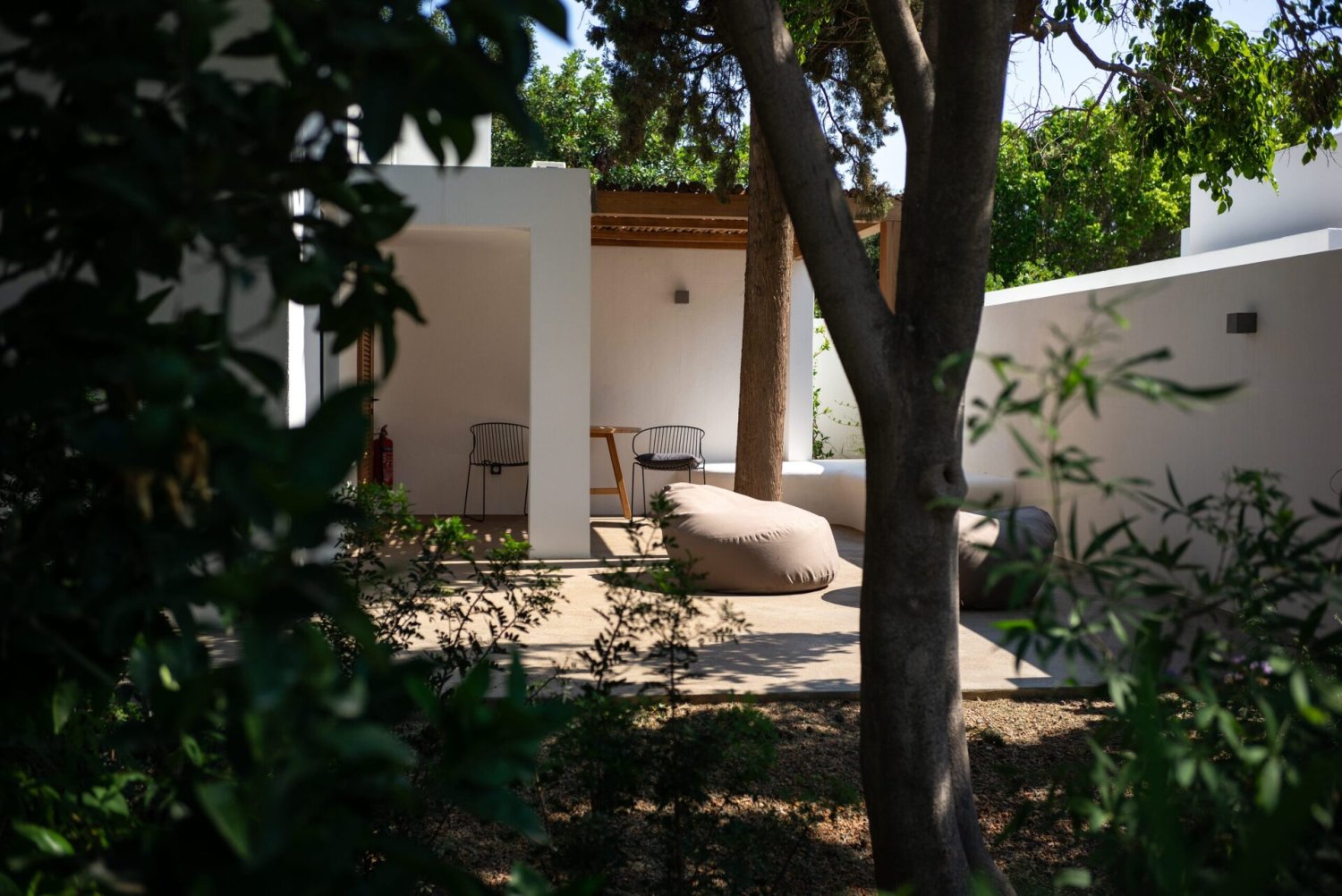 Minos Beach art hotel foto 14