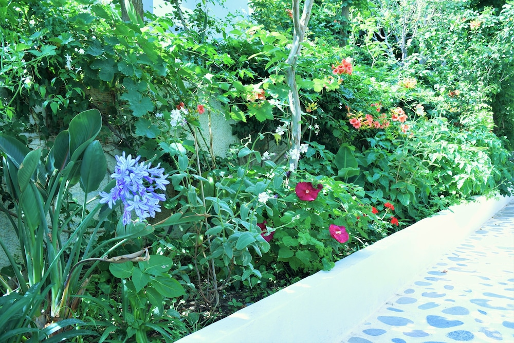 Bloementuin — Aris Hotel