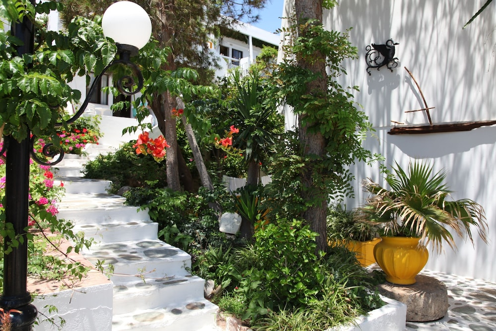 Tropische tuin met palmbomen — Aris Hotel