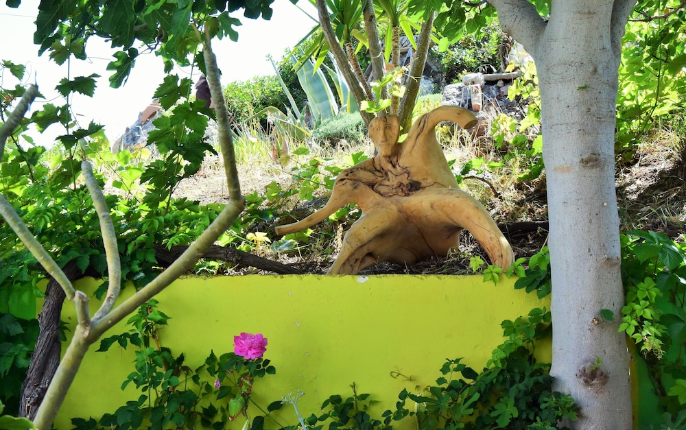 Tropische tuin met palmbomen — Aris Hotel