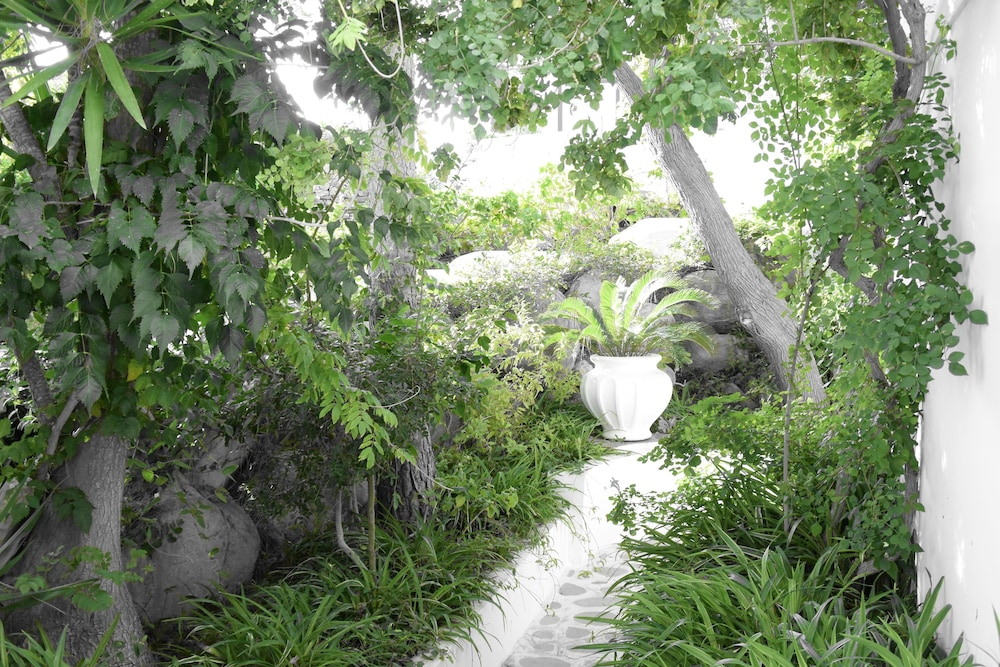 Tropische tuin met palmbomen — Aris Hotel